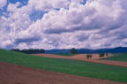 F19980101_06H