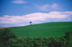 F19980101_12H