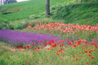 F19980101_16H