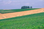 F19980101_28H