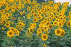 F19980102_10H
