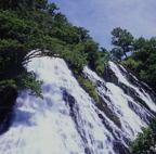 F20073301_05S
