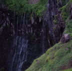 F20073401_06S