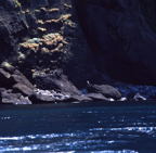 F20073502_05S