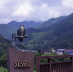 F20074001_08S