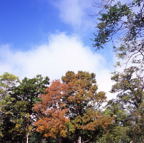 F20074201_03S