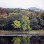 F20074203_02S
