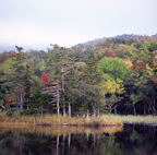 F20074203_04S