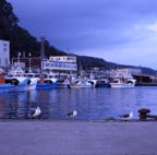 F20074601_08S