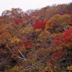 F20074901_07S