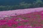 F20040501_03H.jpg