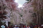 F20040701_06H.jpg