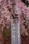 F20040701_19V.jpg