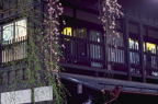 F20040701_29H.jpg