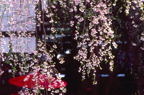 F20040703_18H.jpg
