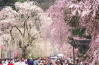 F20040703_32H.jpg