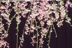 F20040703_35H.jpg