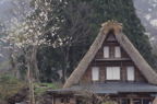 F20061501_07H.jpg