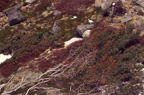 F20061601_31H.jpg