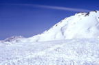 F20061602_17H.jpg
