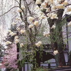 F20073001_12S.jpg