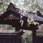 F20073002_12S.jpg