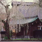 F20073003_06S.jpg