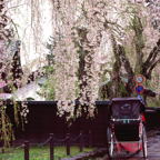 F20073004_03S.jpg