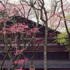 F20073007_09S.jpg