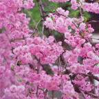 F20073011_05S.jpg