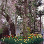 F20073011_06S.jpg