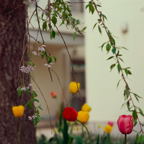 F20073011_07S.jpg