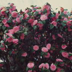 F20073011_08S.jpg