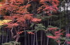 F19980202_10H