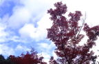 F19980204_10H