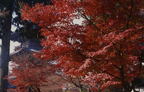 F20010801_02H