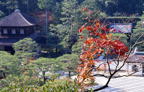F20010801_25H