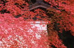 F20010801_35H