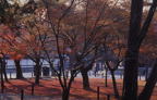 F20010802_04H