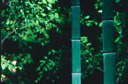 F20030202_20H