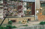 F20030205_01H