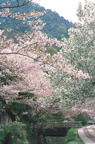 F20030205_07V