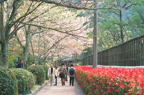 F20030205_19H