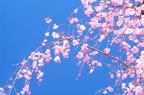 F20071801_15H