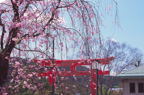 F20071801_19H