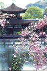 F20071802_37V