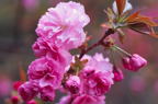 F20071803_03H