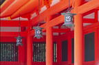 F20071803_14H