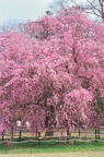 F20072001_04V