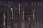 F20072102_13H